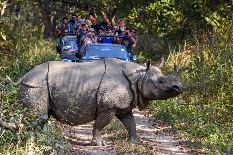 chitwan-jeep-safari[1]