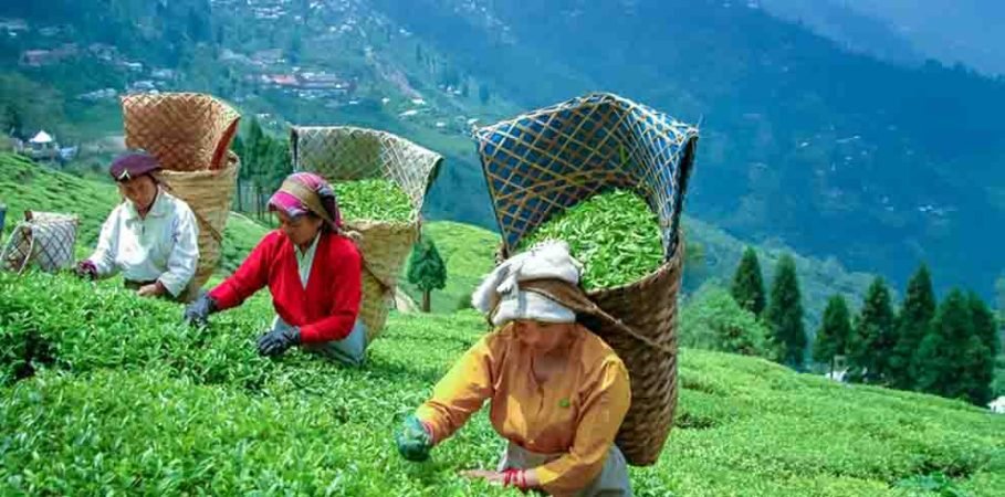 discover-sikkim-and-darjeeling-tour[1]