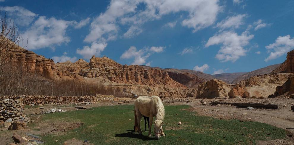 upper-mustang-tour[1]